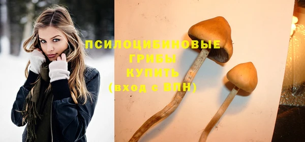 тгк Алзамай