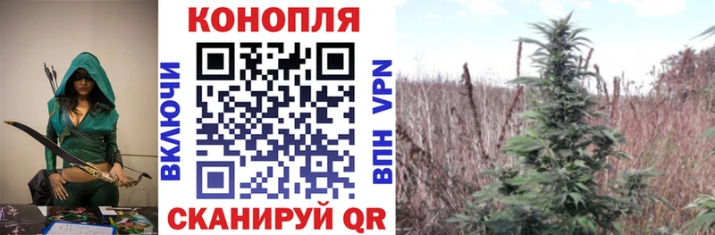 Конопля гибрид  blacksprut маркетплейс  Бавлы 